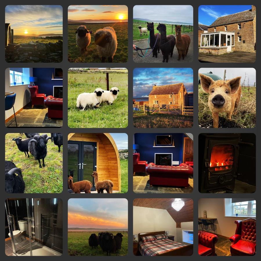Orkney Farm Bothy Villa Stromness Eksteriør bilde